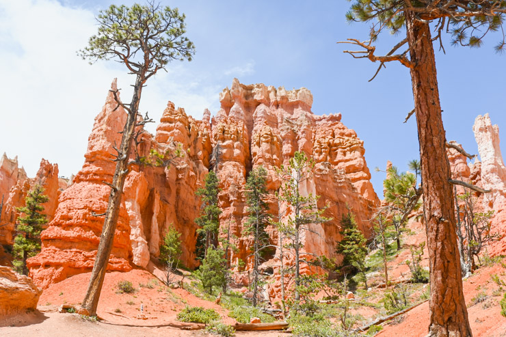 Bryce Canyon