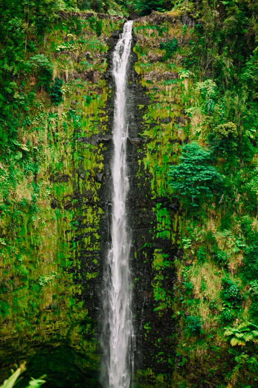 Akaka Falls-1