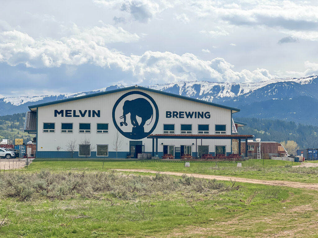 melvin brewing