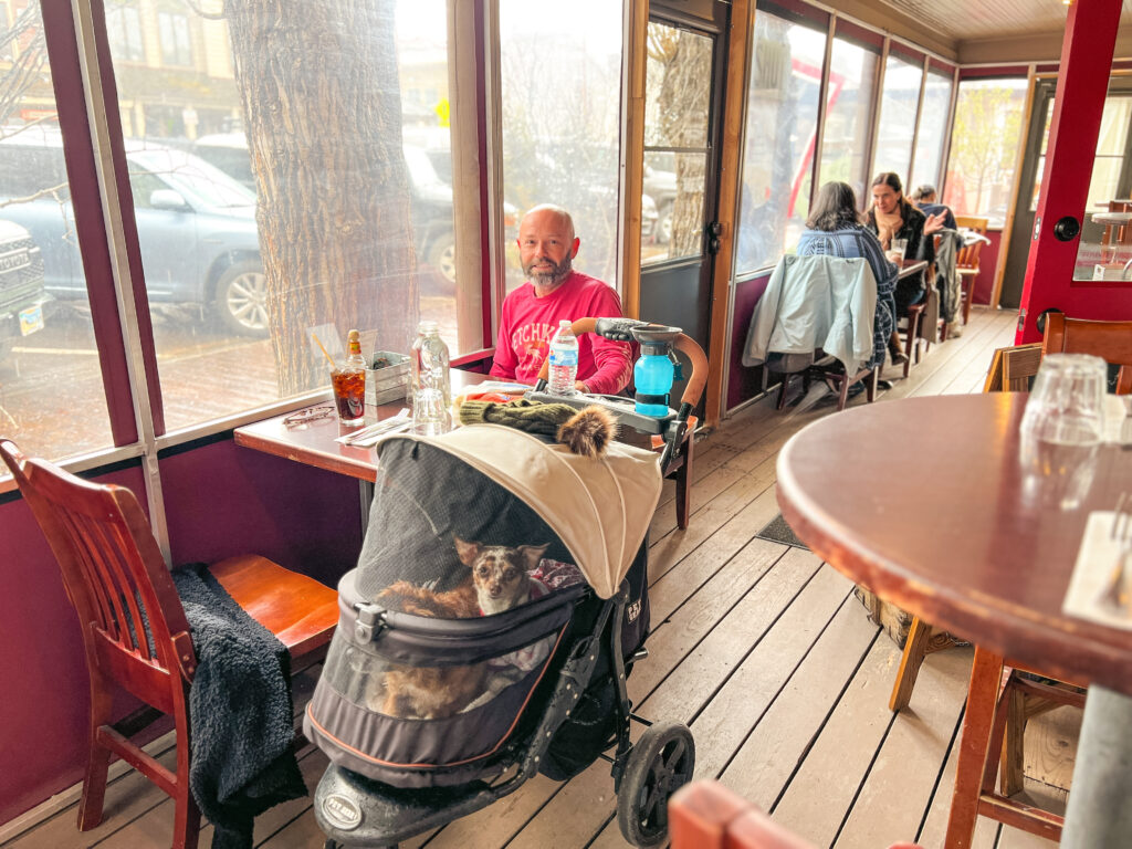 Daniel and pups at Cafe Genevieve