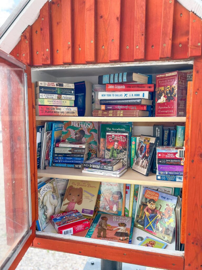 Little free library in Dillon Montana