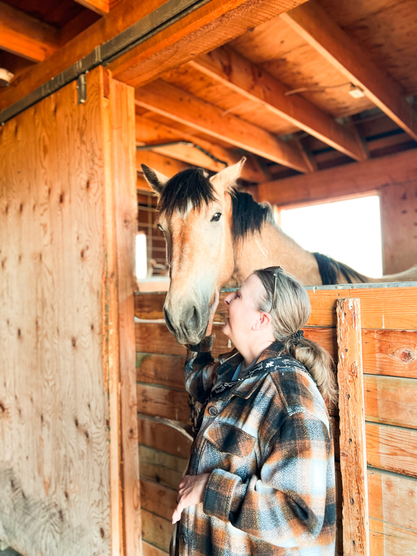 Rebel Ranch petting horse