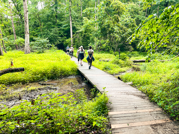 Walking the Trail Brown County State Park near Nashville, Indiana