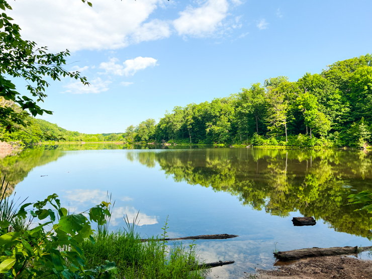 Ogle Lake Trail View Nashville Indiana