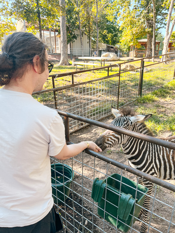 Promised Land Zoo Zebra 10 things to do in Branson