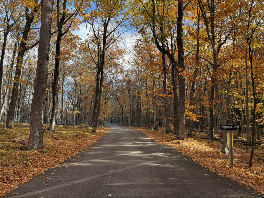 Fall in Door County View