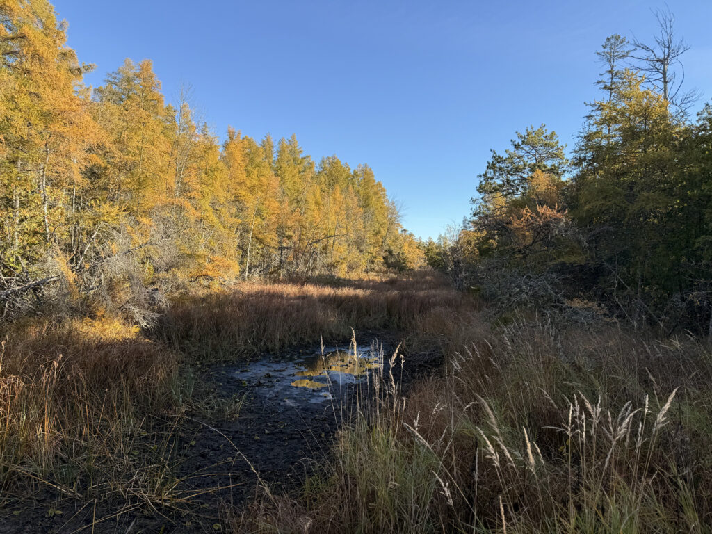 The Ridges in Door County