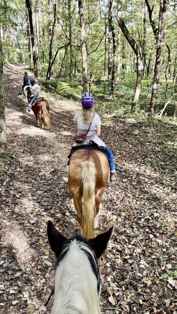 Trail Ride French Lick Resort Stables  in Southern Indiana