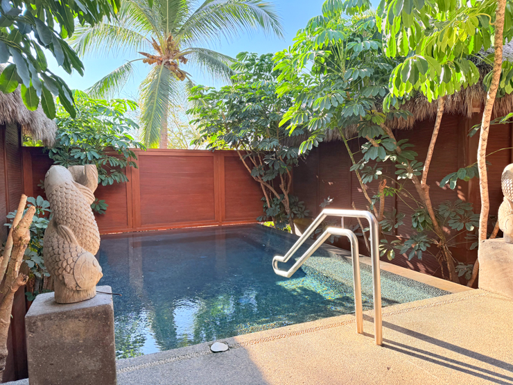 Pool at Tzicuri Spa  Delta Hotels Riviera Nayarit