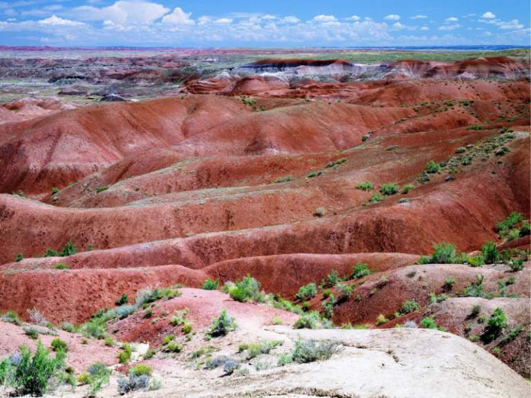 Painted Desert Arizona