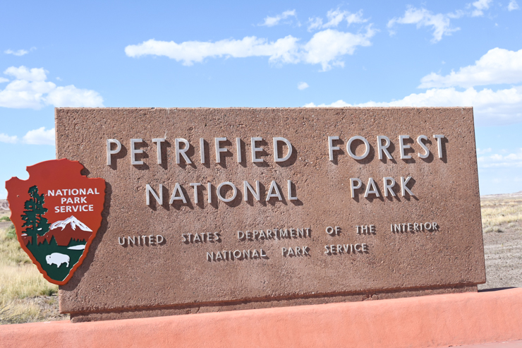 Petrified Forest