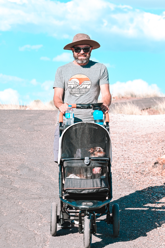 Petrified Forest