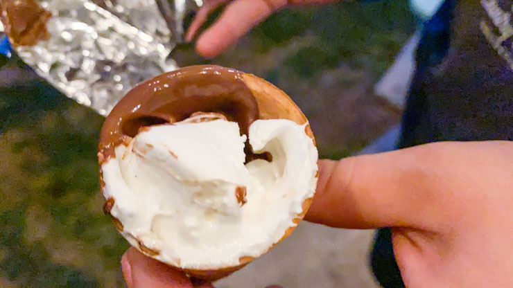 Campfire Cones
