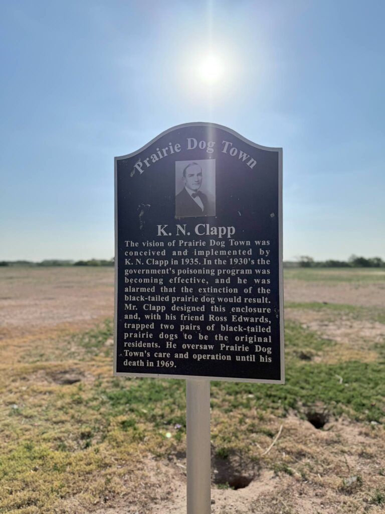 Prairie Dog Town lubbock