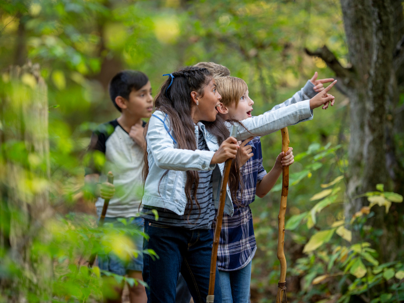 kids hiking with Every Kid Outdoors pass
