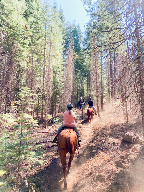 Horseback Riding in Yosemite