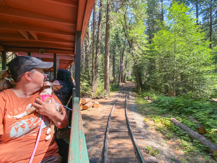Yosemite Sugar Pine Railroad