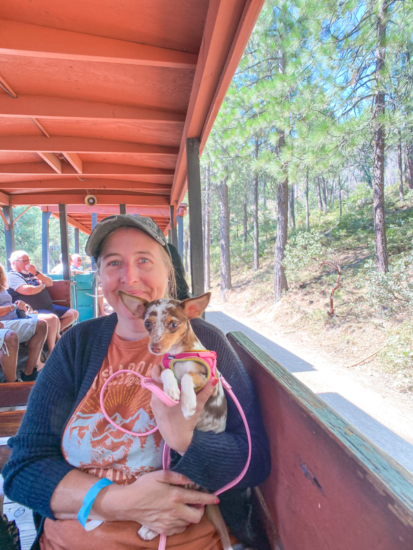 TILLY TRAIN RIDE