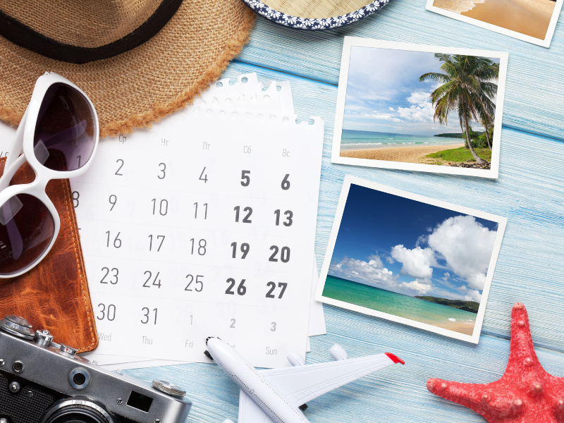 Roaming Summer Feature Image