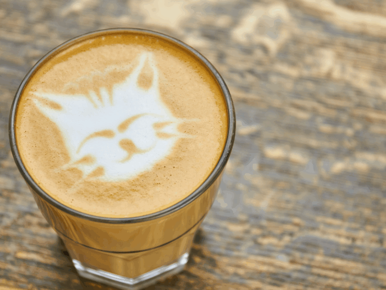 cat café drink