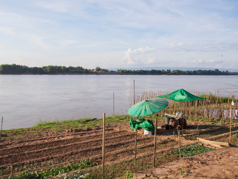 Farming along the Mekong Delta