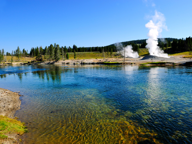 Yellowstone National Park American Road Trip