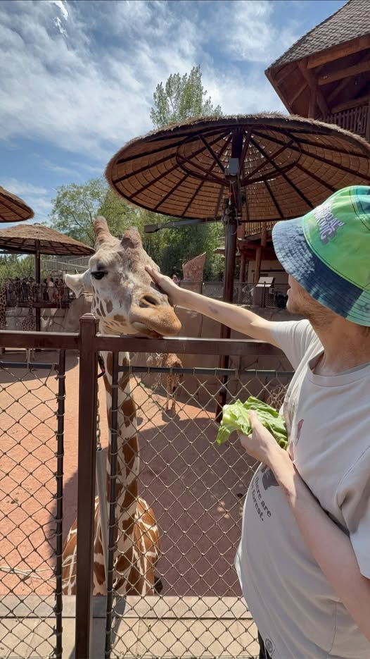 Ryan feeding giraffe Cheyenne Mountain Zoo Colorado Springs 