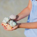 Person holding shell on one of the Best Shelling Beaches