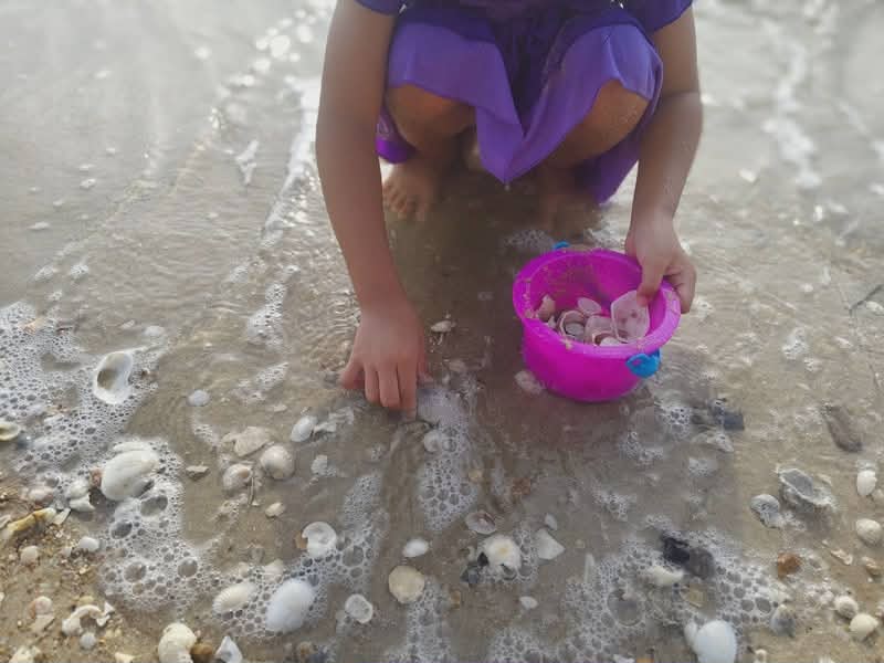 Child with bucket of shells among the Best Shelling Beaches