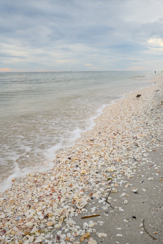 Explore the serene, shell-covered beaches of Sanibel Island, Florida, at sunset.