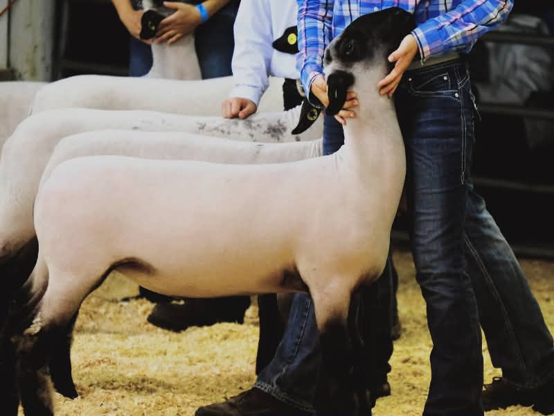 Oklahoma March Events 2026