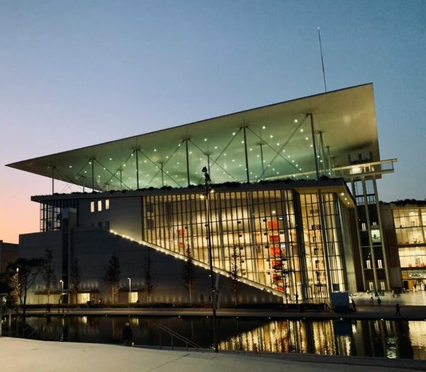  Stavros Niarchos Foundation 