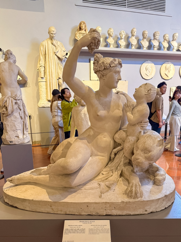 Bacchant with Faun and Panther. This marble sculpture is the work of Francesco Pozzi and is located in the Galleria dell'Accademia in Florence, Italy. During our 2 Days in Florence