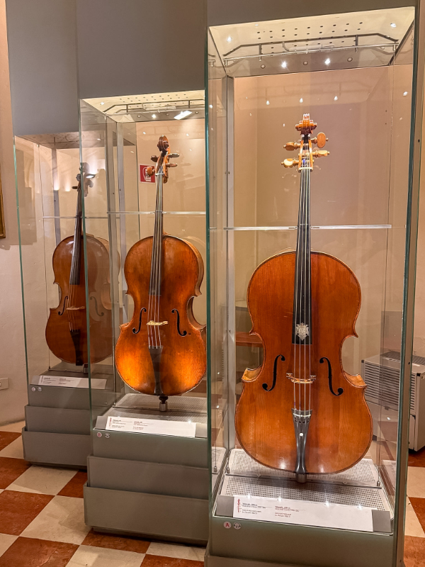 antique string instruments Galleria dell'Accademia During Our 2 Days in Florence