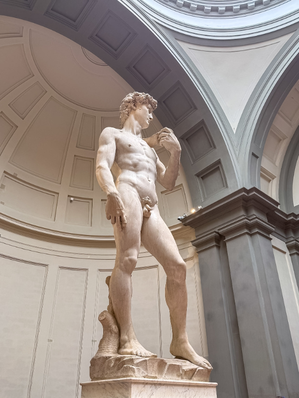 Michelangelo's David
