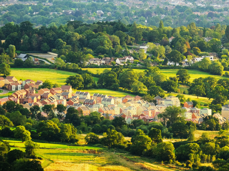 Cotswolds