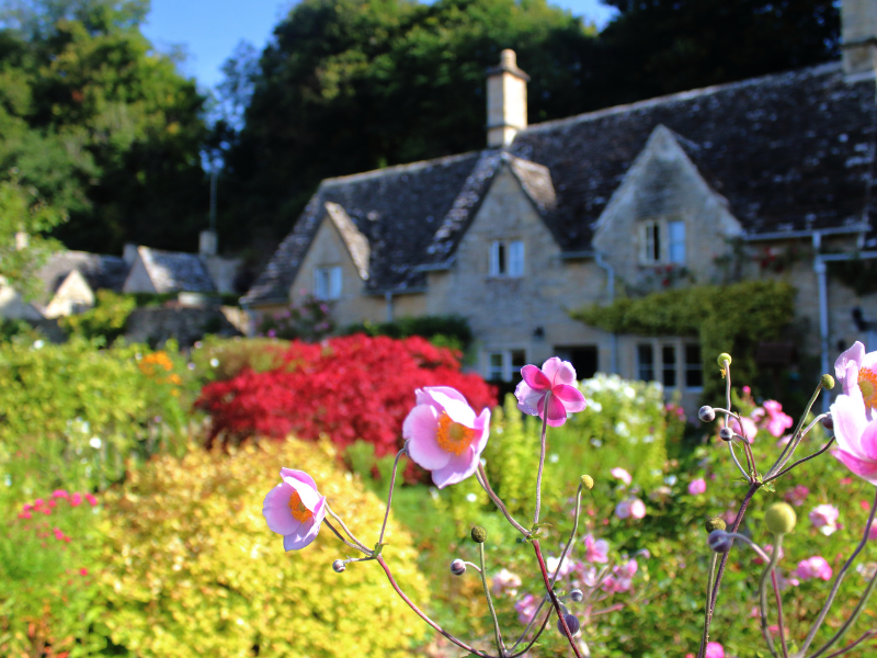 Cotswolds