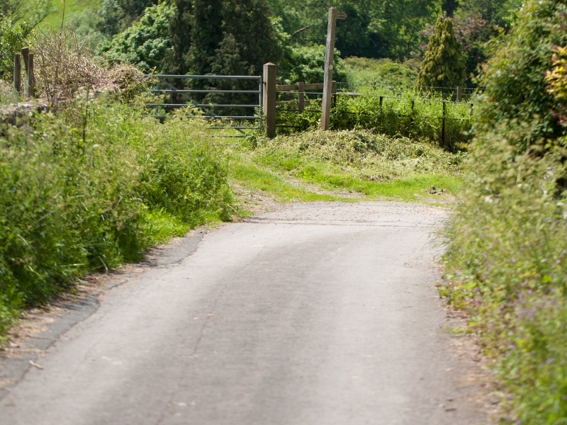 Narrow roads on a Cotswolds Road Trip
