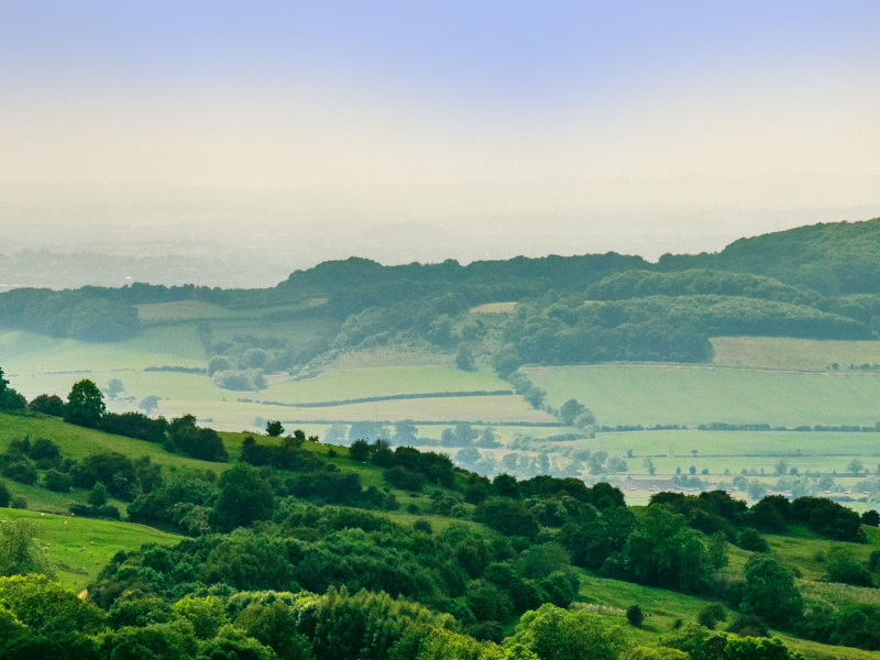 Cotswolds scene during 