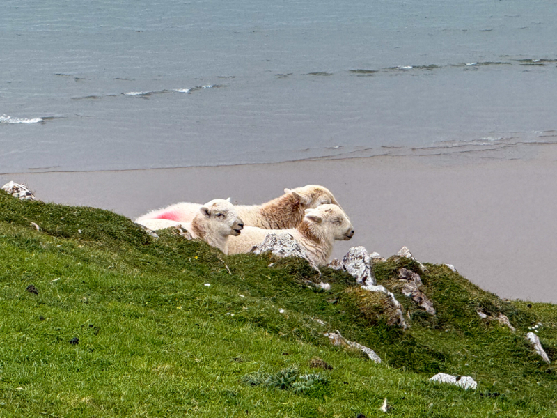 Rhossili Bay