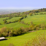 Cotswolds view