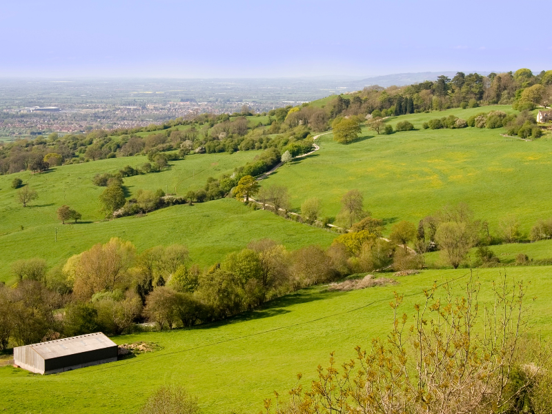 Cotswolds view