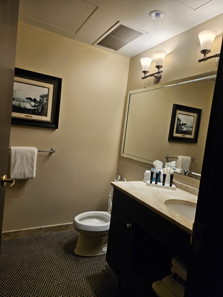 Artestian Hotel Room Bath