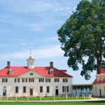 Mount Vernon Feature image