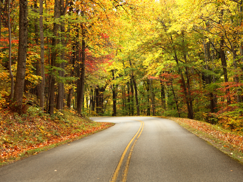 Blue Ridge Parkway during Fall Foliage Trips
