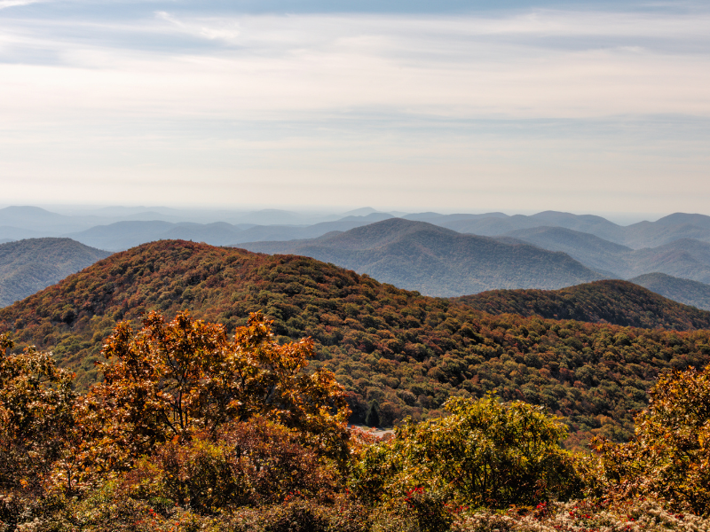 Brasstown Bald on Fall Foliage Trips
