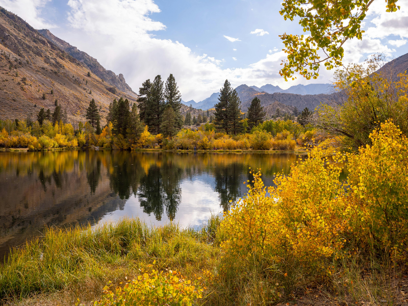 Eastern Sierra California for Fall Foliage Trips