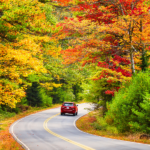 Fall Foliage Trips