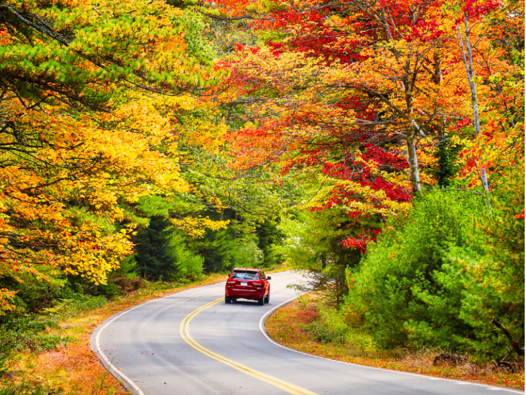 Fall Foliage Trips