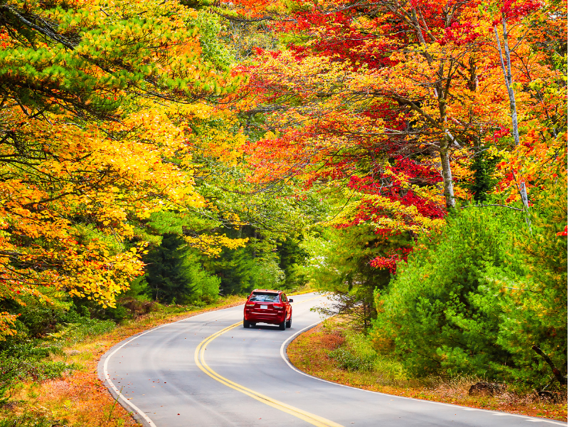 Fall Foliage Trips